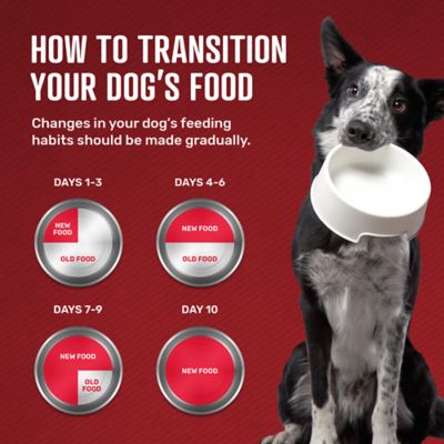 Image showing 6 th Retriever Choice Chops Adult Beef Recipe Dry Dog Food, 50 lb. Bag