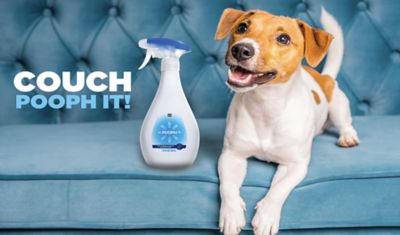 Image showing  Pet Odor and Stain Eliminator, 32 oz.