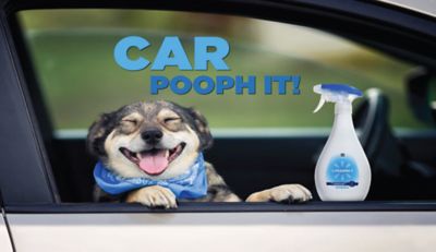 Image showing  Pet Odor and Stain Eliminator, 32 oz.