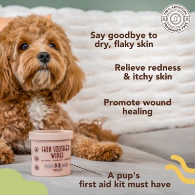 Image showing  Skin Soother Wipes for Dogs, 50 ct.