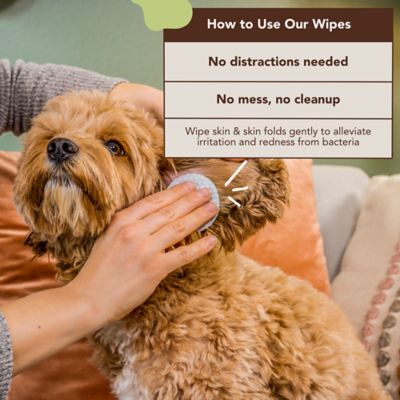 Image showing  Skin Soother Wipes for Dogs, 50 ct.