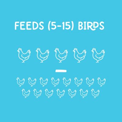 Image showing  7 lb. Feeder Teal