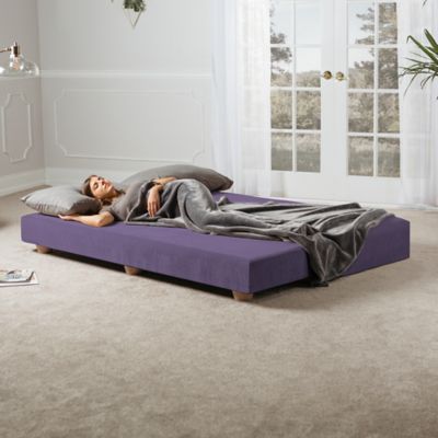 Image showing  Alon Daybed / Fold-Out Queen-Size Mattress, Plum