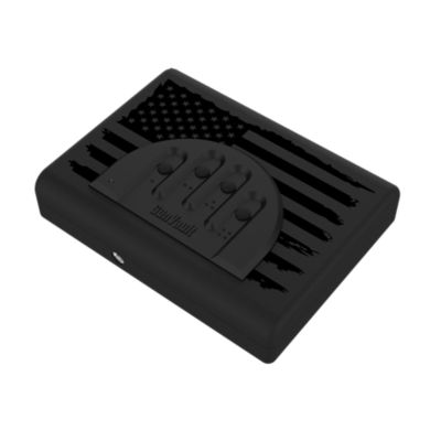 GunVault 0.89 cu. ft. Microvault Special Flag Edition
