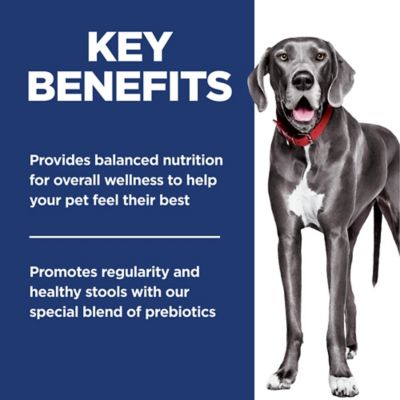 Image showing  Adult Perfect Digestion Large Breed Chicken Dry Dog Food