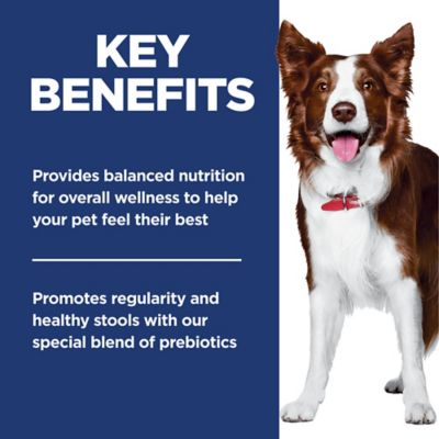 Image showing  Adult Perfect Digestion Salmon Dry Dog Food