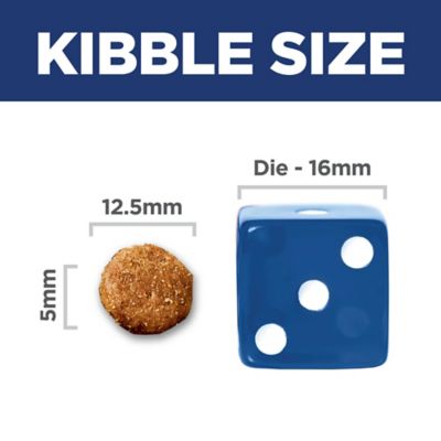 Image showing  Adult Perfect Digestion Salmon Dry Dog Food