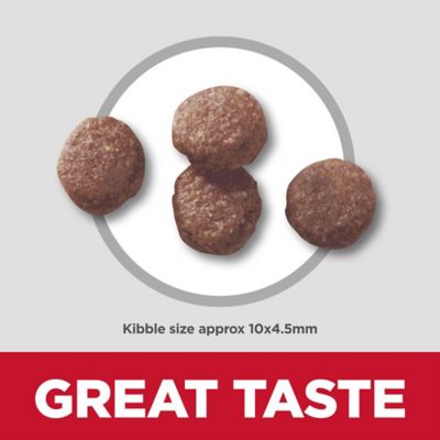 Image showing 2 th Hill's Science Diet Puppy Lamb & Brown Rice Dry Dog Food