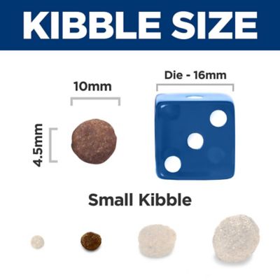 Image showing 4 th Hill's Science Diet Puppy Lamb & Brown Rice Dry Dog Food