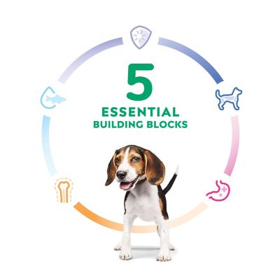 Image showing 8 th Hill's Science Diet Puppy Lamb & Brown Rice Dry Dog Food