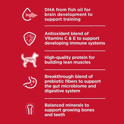 Image showing  Puppy Lamb & Brown Rice Dry Dog Food