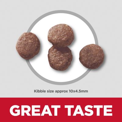 Image showing  Puppy Lamb & Brown Rice Dry Dog Food