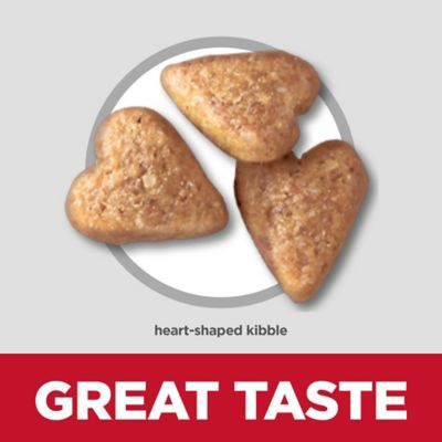 Image showing  Adult Perfect Weight and Joint Support Chicken Recipe Dry Dog Food