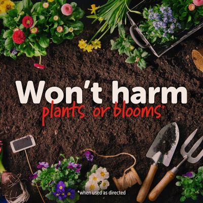 Image showing 8 th Sevin 3 lb. Garden Perimeter Insect Killer