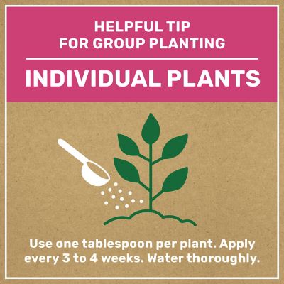 Image showing 5 th GroundWork 8 lb. 200 sq. ft. Natural All-Purpose Plant Food, 4-4-4