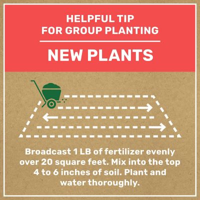Image showing 6 th GroundWork 8 lb. 200 sq. ft. Natural All-Purpose Plant Food, 4-4-4