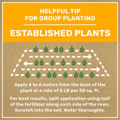 Image showing 7 th GroundWork 8 lb. 200 sq. ft. Natural All-Purpose Plant Food, 4-4-4