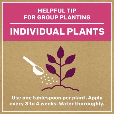 Image showing 5 th GroundWork 8 lb. 200 sq. ft. Natural Tomato and Vegetable Plant Food, 3-5-6