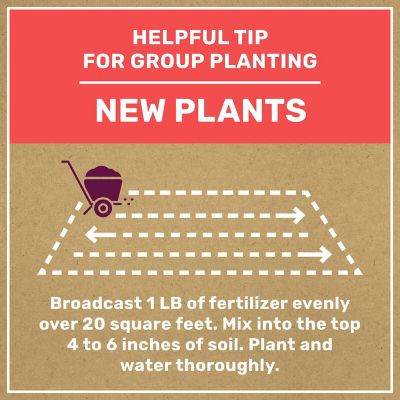 Image showing 6 th GroundWork 8 lb. 200 sq. ft. Natural Tomato and Vegetable Plant Food, 3-5-6