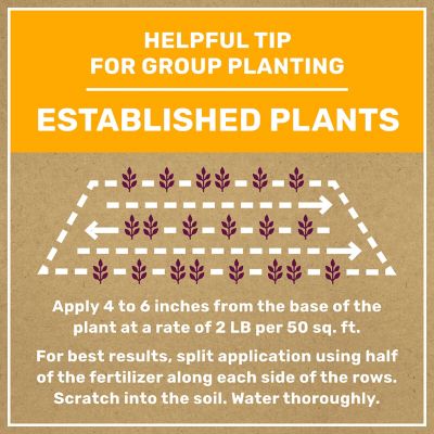 Image showing 7 th GroundWork 8 lb. 200 sq. ft. Natural Tomato and Vegetable Plant Food, 3-5-6