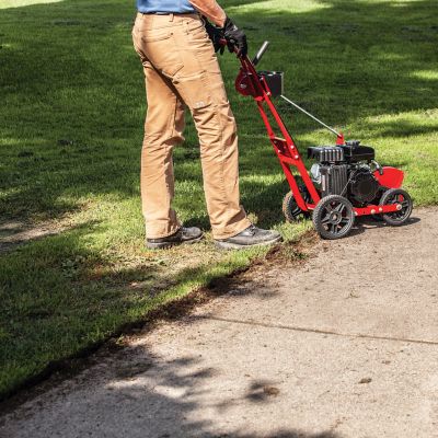 Image showing  8.97 in. 79cc Gas Walk-Behind Edger