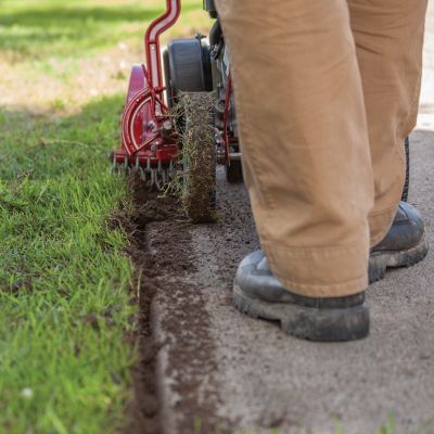Image showing  8.97 in. 79cc Gas Walk-Behind Edger