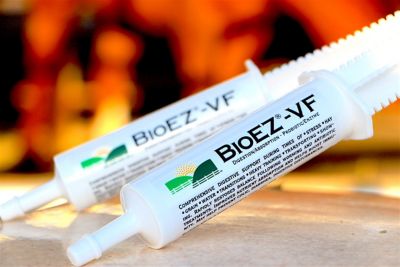 BioEZ BioEZ-VF 80cc Gel Paste
