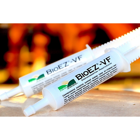 BioEZ BioEZ-VF 80cc Gel Paste