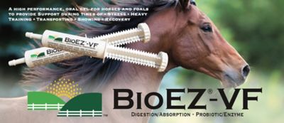 Image showing  BioEZ-VF 80cc Gel Paste