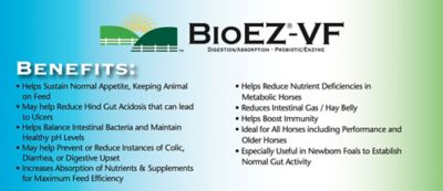 Image showing  BioEZ-VF 80cc Gel Paste