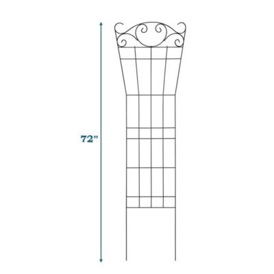Image showing  72 in. Garden Trellis with Scrolls