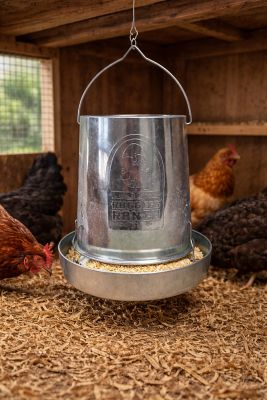 Image showing 6 th Rugg EGG Ranch 15 lb. Hanging Poultry Feeder, Galvanized
