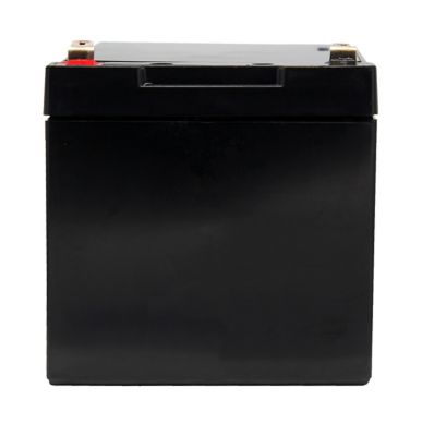 Image showing  12V 12Ah Sealed Lead Acid (SLA)/AGM Battery with F2 Terminals