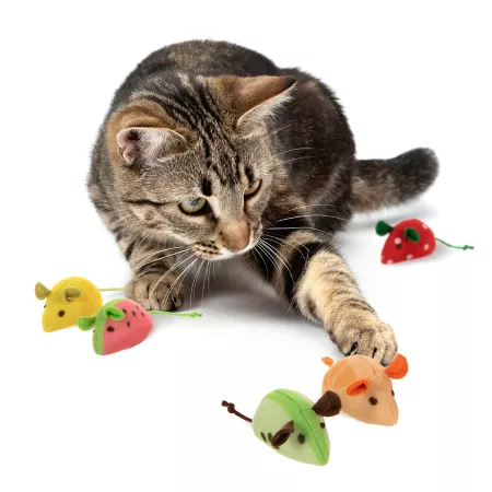 SmartyKat Skitter Slices Plush Cat Toys with Catnip 5 Pack Catnip Toys