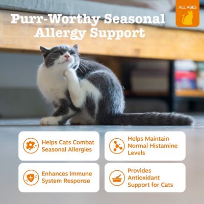 Image showing  Allergy & Immune Bites for Cats, Bacon, 60 ct.
