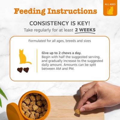 Image showing  Allergy & Immune Bites for Cats, Bacon, 60 ct.