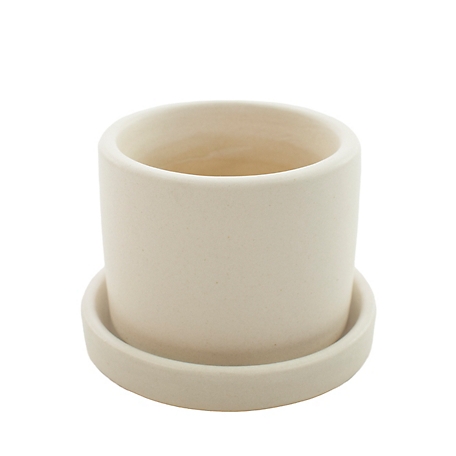 National Plant Network 2.5 in. Hyde Semi Matte Cream Container with Saucer-1 Piece