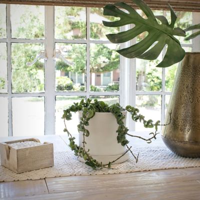 Image showing  5 in. Upcycled Cream Planter