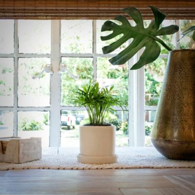 Image showing  5 in. Upcycled Cream Planter