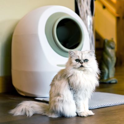 Image showing 7 th Casa Leo Leo's Loo Too Smart Self-Cleaning Cat Litter Box