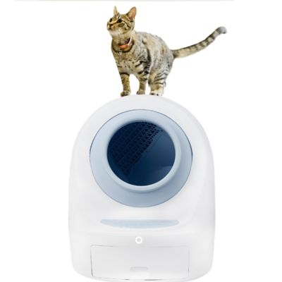 Image showing 7 th Casa Leo Leo's Loo Too Starter Bundle Smart Self-Cleaning Cat Litter Box