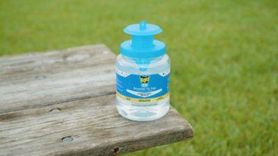 Image showing  Reusable Fly Jar Trap With Lure