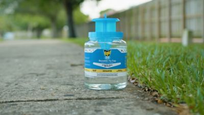 Image showing 5 th Raid Reusable Fly Jar Trap With Lure