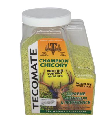 Tecomate Champion Chicory, 16020