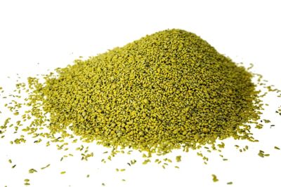 Image showing  Champion Chicory, 3 lb.