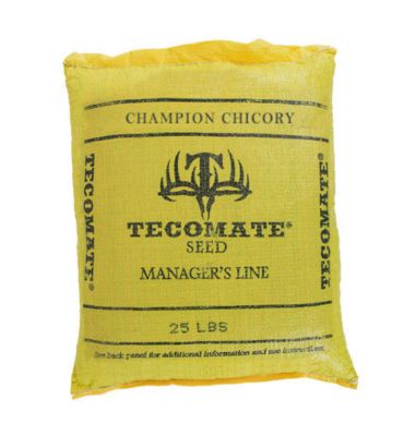 Tecomate Champion Chicory, 5009