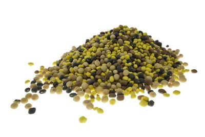 Image showing  Horn-Maker Extreme, 25248