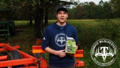 Image showing  King Ladino White Clover, 16025