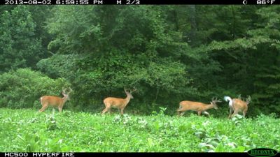 Image showing  Monster Mix, 16055