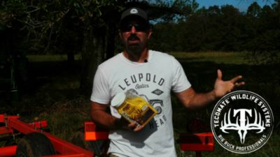 Image showing  Root King Radish, 16030